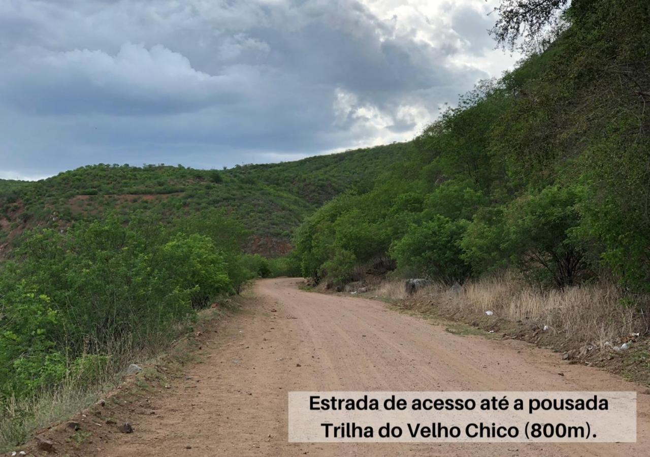 Pousada Trilha Do Velho Chico ピラーニャス エクステリア 写真